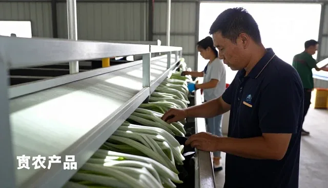 渠道供货与市场拓展如何解决仓储物流中的实际问题